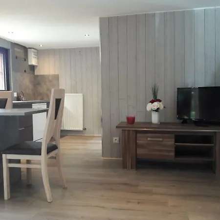 Les Massonnat Apartment Aix-les-Bains